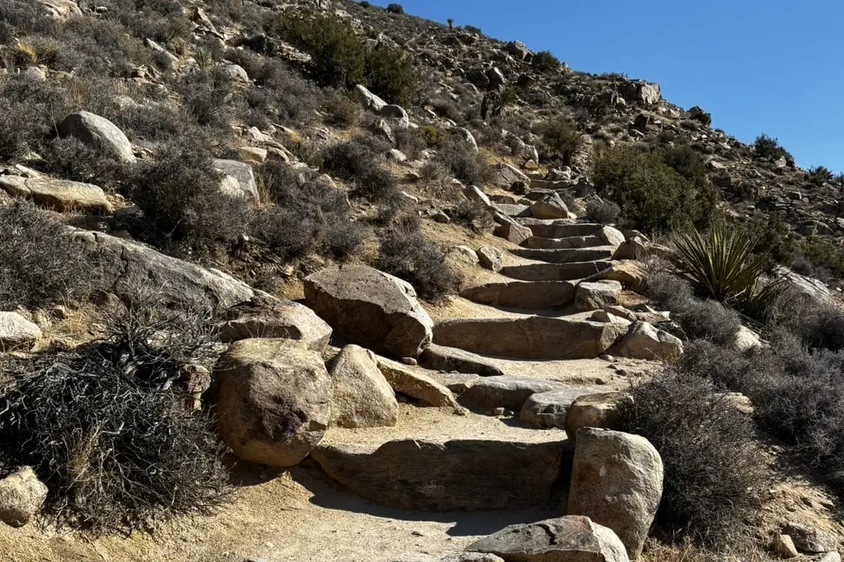 ryan trail