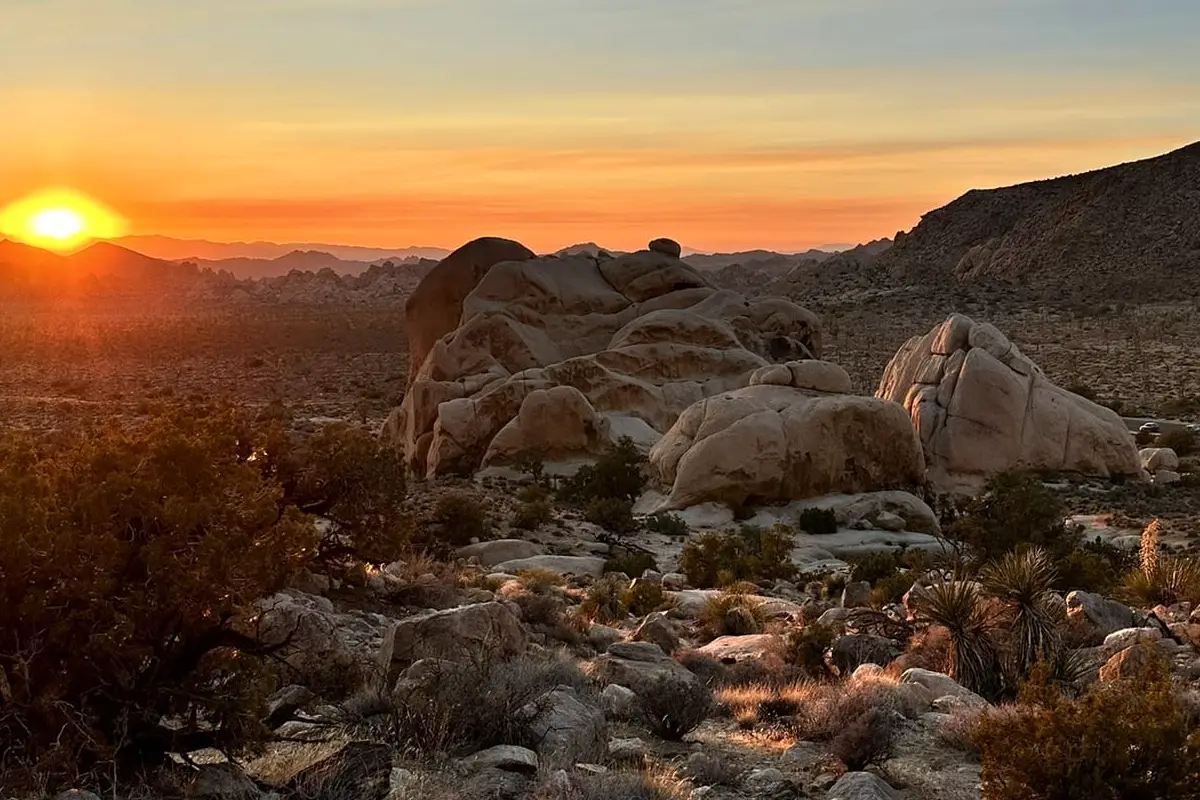 joshua trail