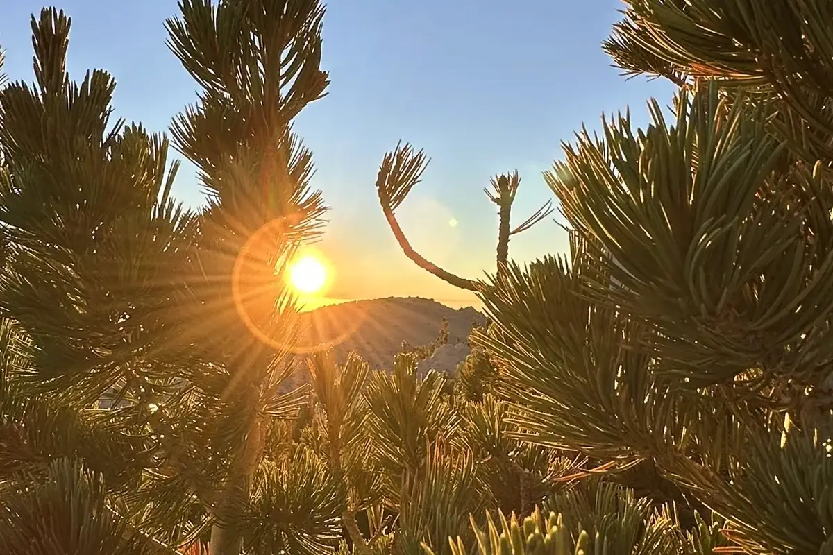vivian creek trail