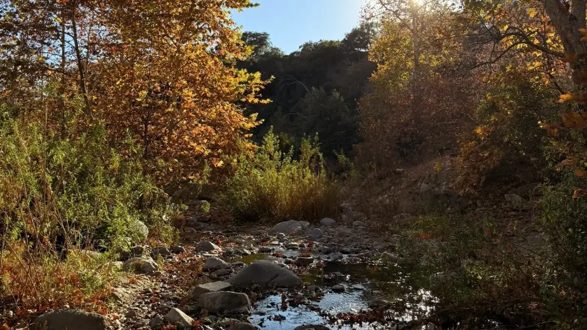 trail