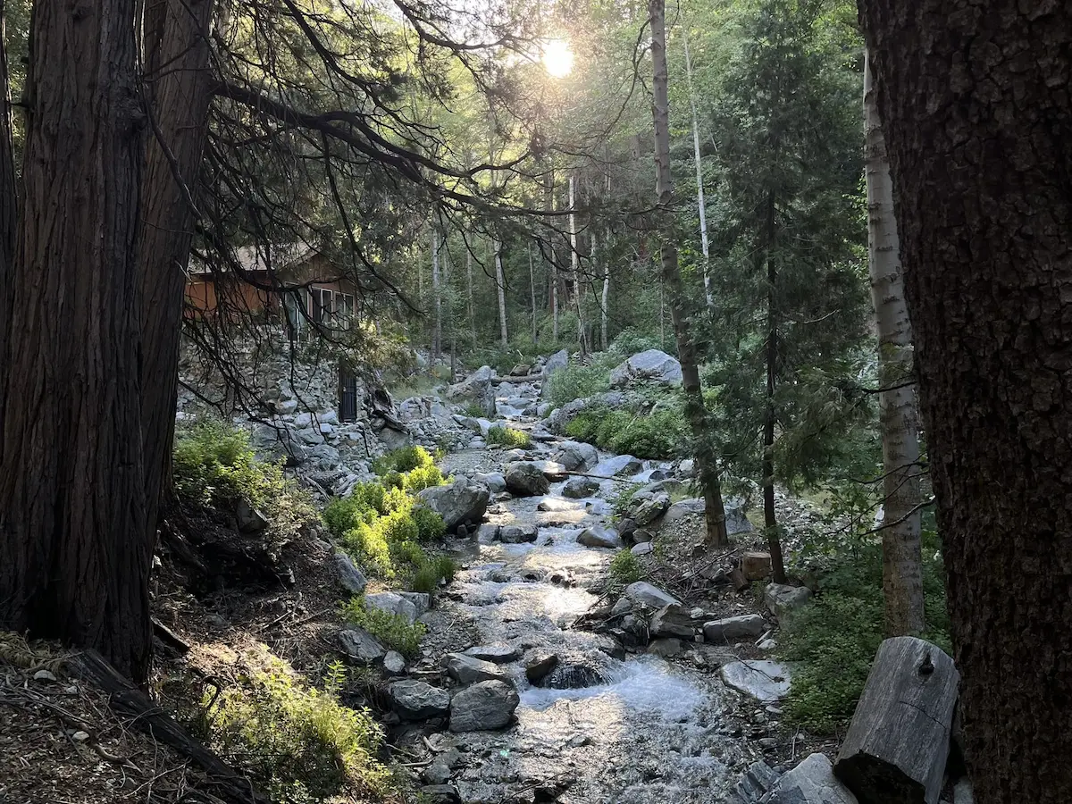 mount baldy