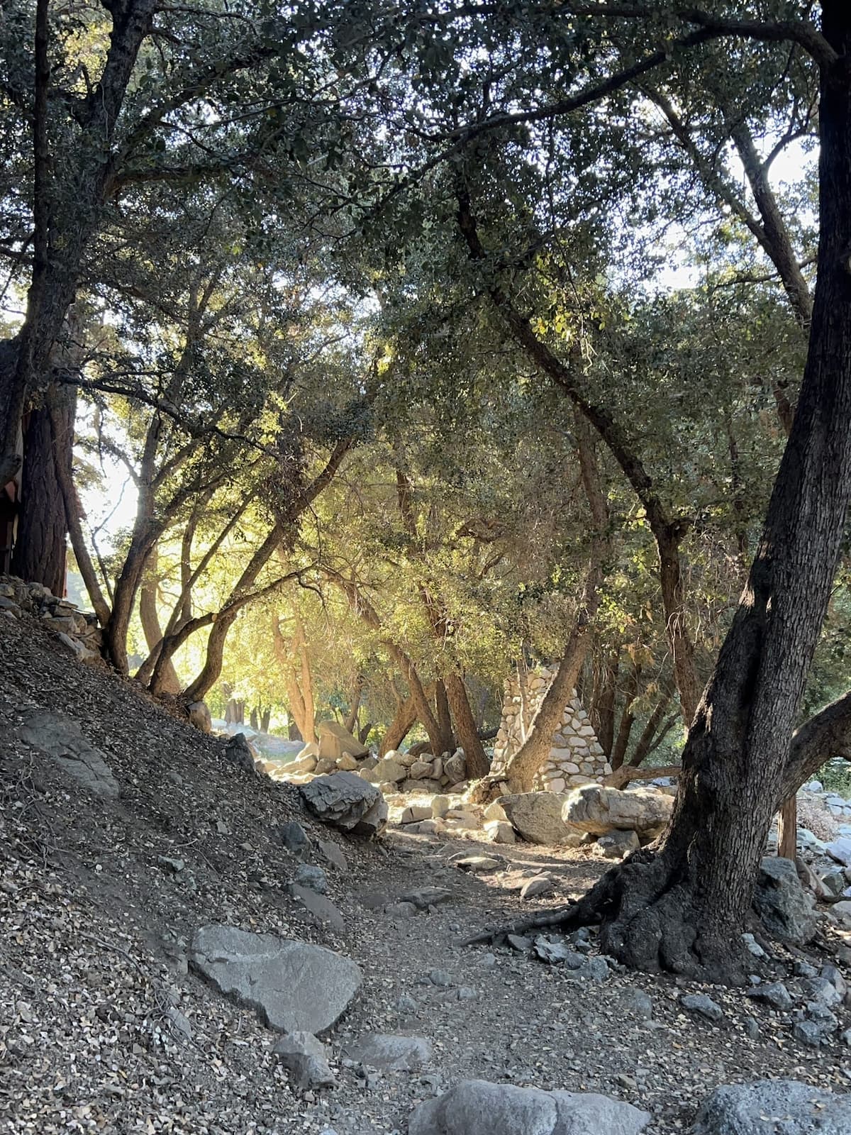 mount baldy