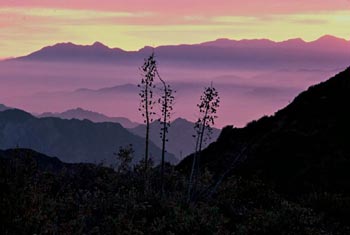 Ed Davis Park in Towsley Canyon