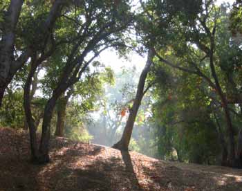 Whitney Canyon: Hiking Trails, Map & Visitor Guide