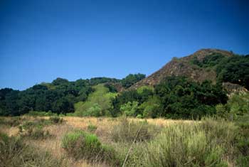 Santa Clarita Woodlands Park