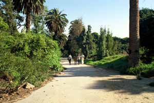 Runyon Canyon Park