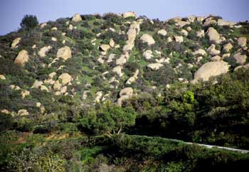 Sage Ranch Park: Loop Trail, Map & Visitor Guide