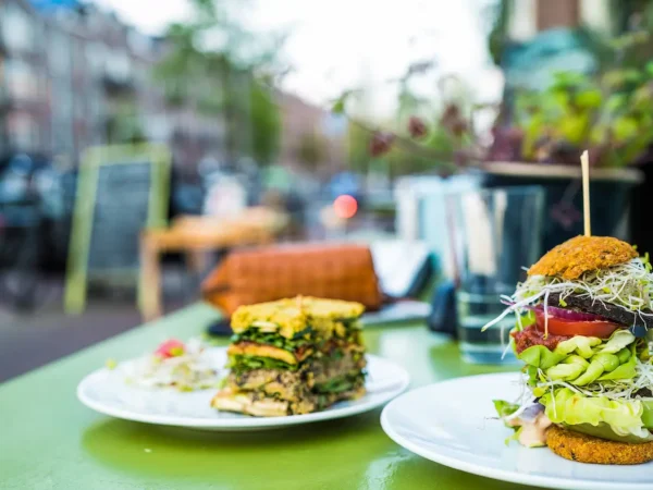 Los angeles best vegan restaurants: a city guide for plant-based dining enthusiasts
