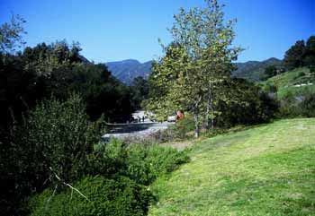 Temescal Gateway Park