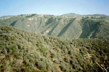 Topanga State Park: Eagle Rock Trail, Map & Guide