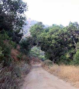 Verdugo Mountain Park