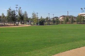Compton Creek Natural Park at George Washington Elementary