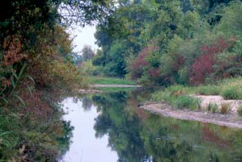 Bosque del Rio Hondo: Whittier Narrows Trails & Map