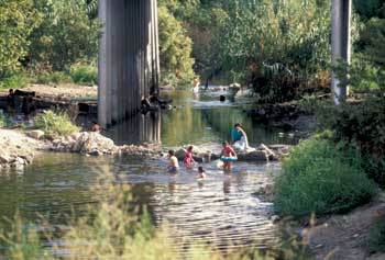 Bosque del Rio Hondo