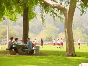 Brookside Park
