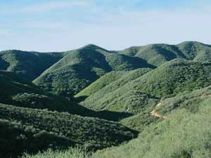 Castro Crest: Mesa Peak Trail, Map & Closure Status