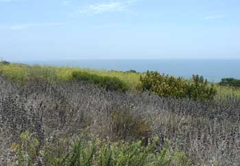Sara Wan Trailhead at Corral Canyon