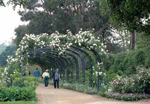 Descanso Gardens: Inner Loop, Visiting Guide & Map