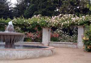 Descanso Gardens