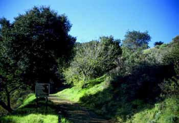 East & Rice Canyon