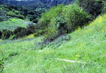 Summit Valley Edmund D. Edelman Park: Trail, Map & Closure