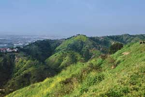 Hellman Park