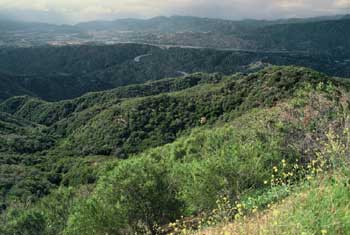 La Tuna Canyon Park: Verdugo Peak Trails, Map & Guide