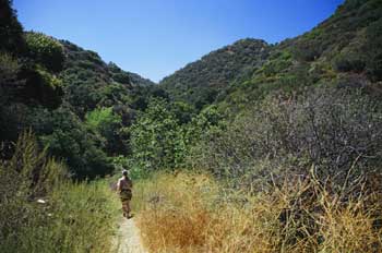 La Tuna Canyon Park