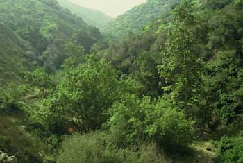 La Tuna Canyon Park