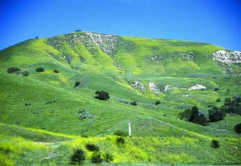 Las Virgenes View Park
