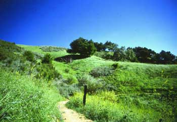 Las Virgenes View Park