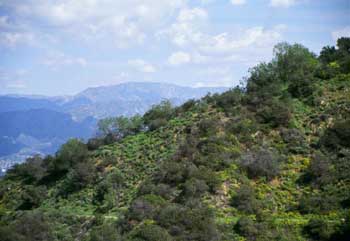 Nancy Hoover Pohl Overlook