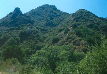 Pico Canyon: Newhall Trail, Map & Historic Guide