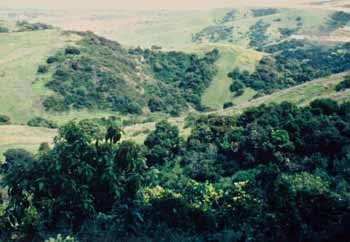 Powder Canyon
