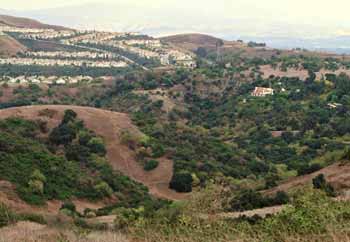 Powder Canyon