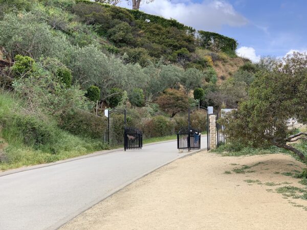 Hiker Who Died in Runyon Canyon Area Identified as 78-Year-Old Writer William Hasley