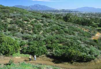 Saddletree Ranch Trailhead