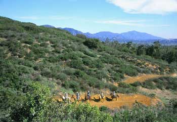 Saddletree Ranch Trailhead