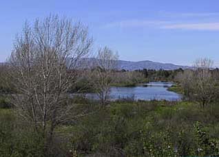 Sepulveda Basin Recreation Area: Wildlife Walk & Map