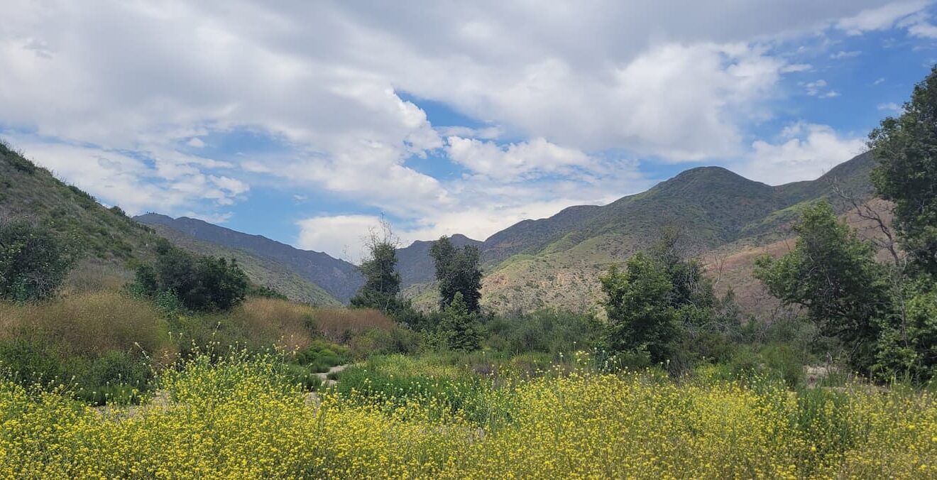Zuma & Trancas Canyons: Hiking Trails, Map & Guide