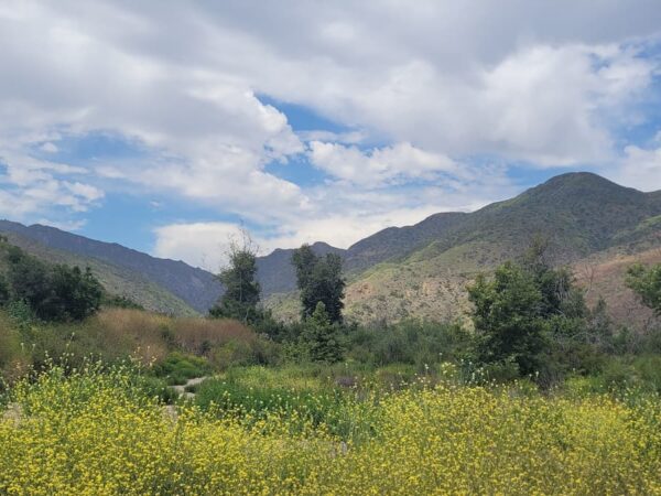 Zuma & Trancas Canyons: Hiking Trails, Map & Guide