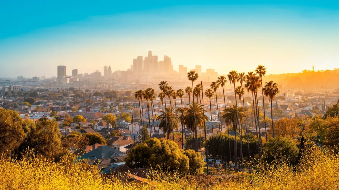Hiker Who Died in Runyon Canyon Area Identified as 78-Year-Old Writer William Hasley