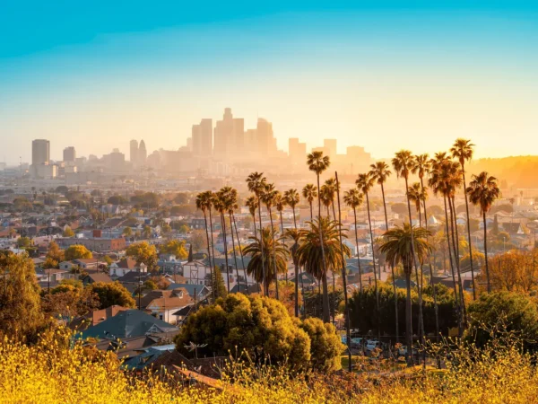 Hiker Who Died in Runyon Canyon Area Identified as 78-Year-Old Writer William Hasley
