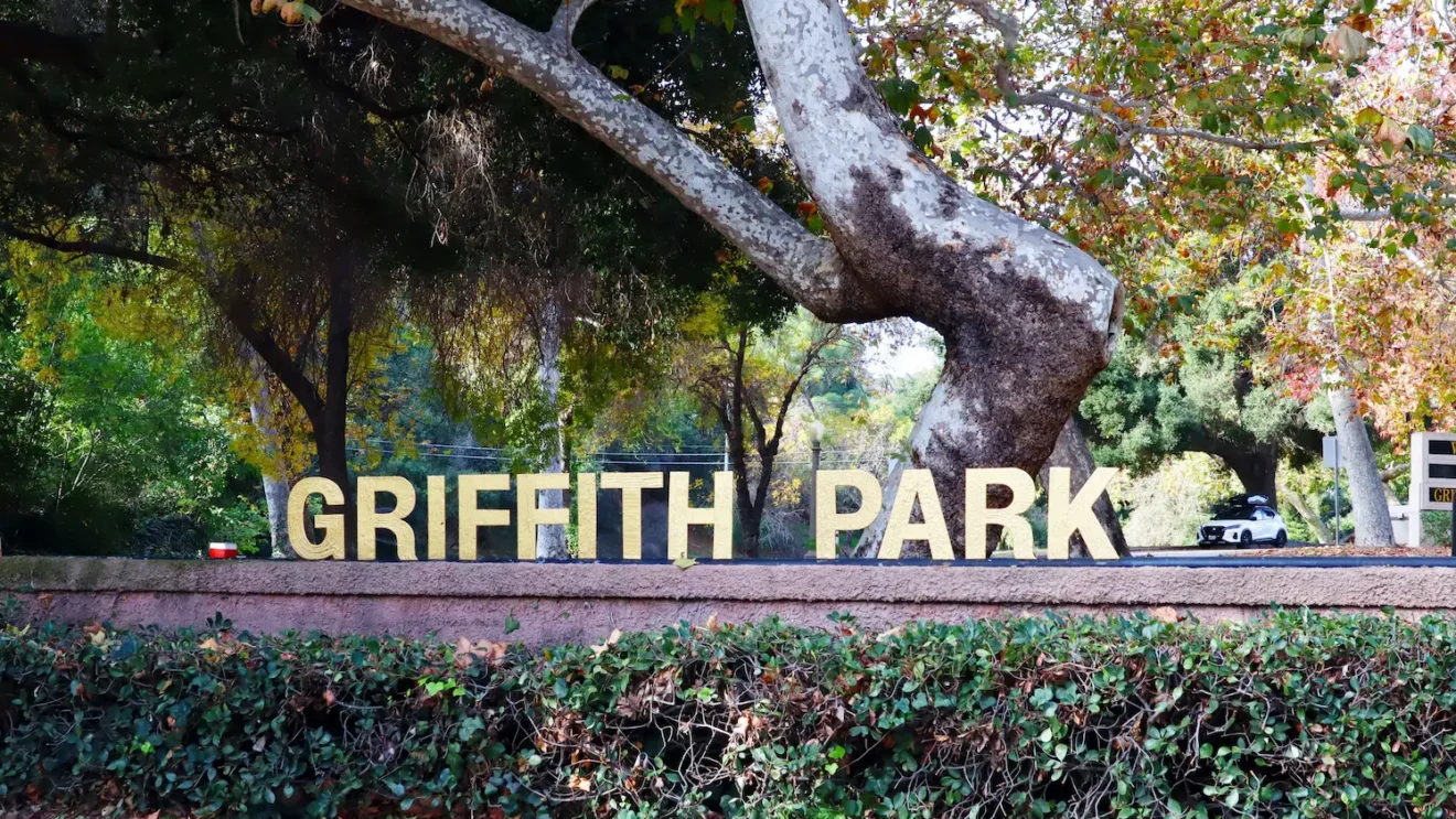 Griffith Park Hiker Rescued After Reported 50-Foot Fall Near Vermont Canyon Road