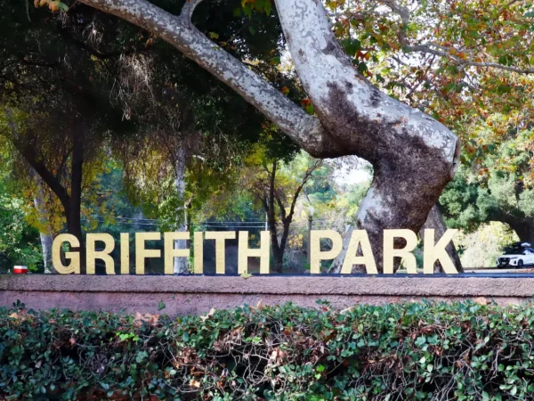 Griffith Park Hiker Rescued After Reported 50-Foot Fall Near Vermont Canyon Road