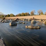 Walking the LA River: A Guide to the Glendale Narrows Pocket Parks