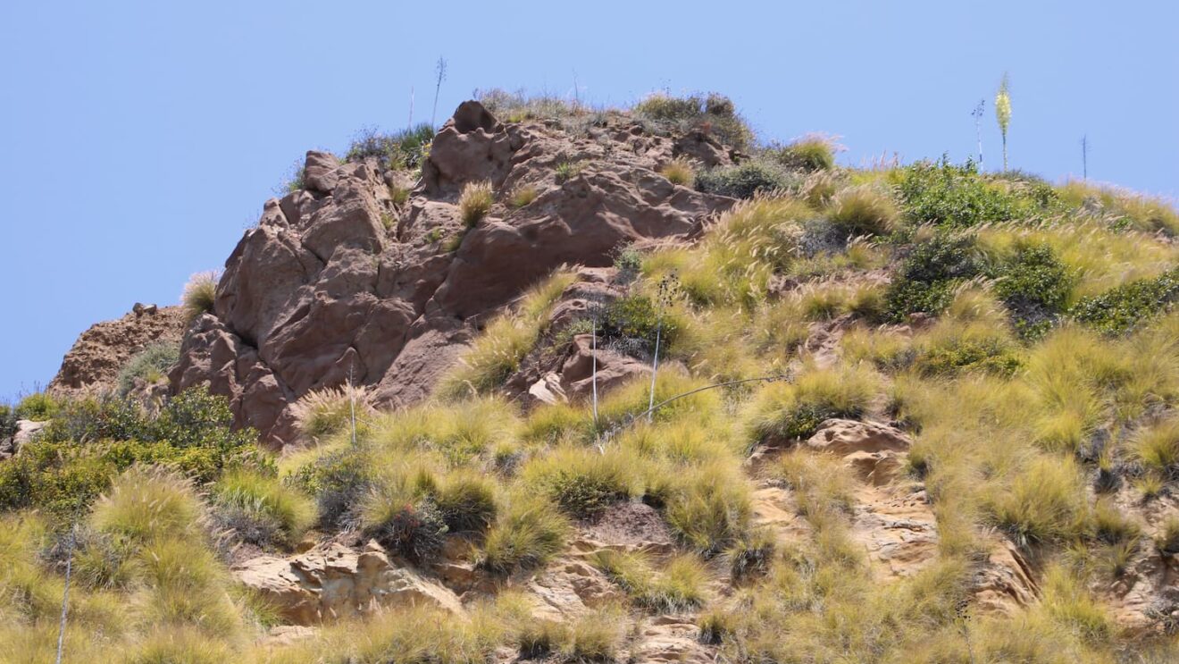 Prescribed Burn Planned Above Topanga: What Santa Monica Mountains Visitors Should Know