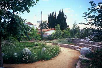 Steelhead Park: LA River Frogtown Visitor Guide & Map