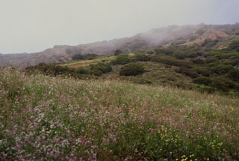 Tuna Canyon Park