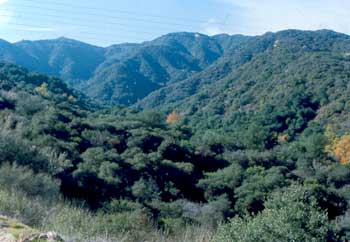 Verdugo Mountains Open Space Preserve: Trails & Map